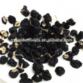 Baies de goji noir / goji noir / Lycium ruthenicum murr highland fruit sucré